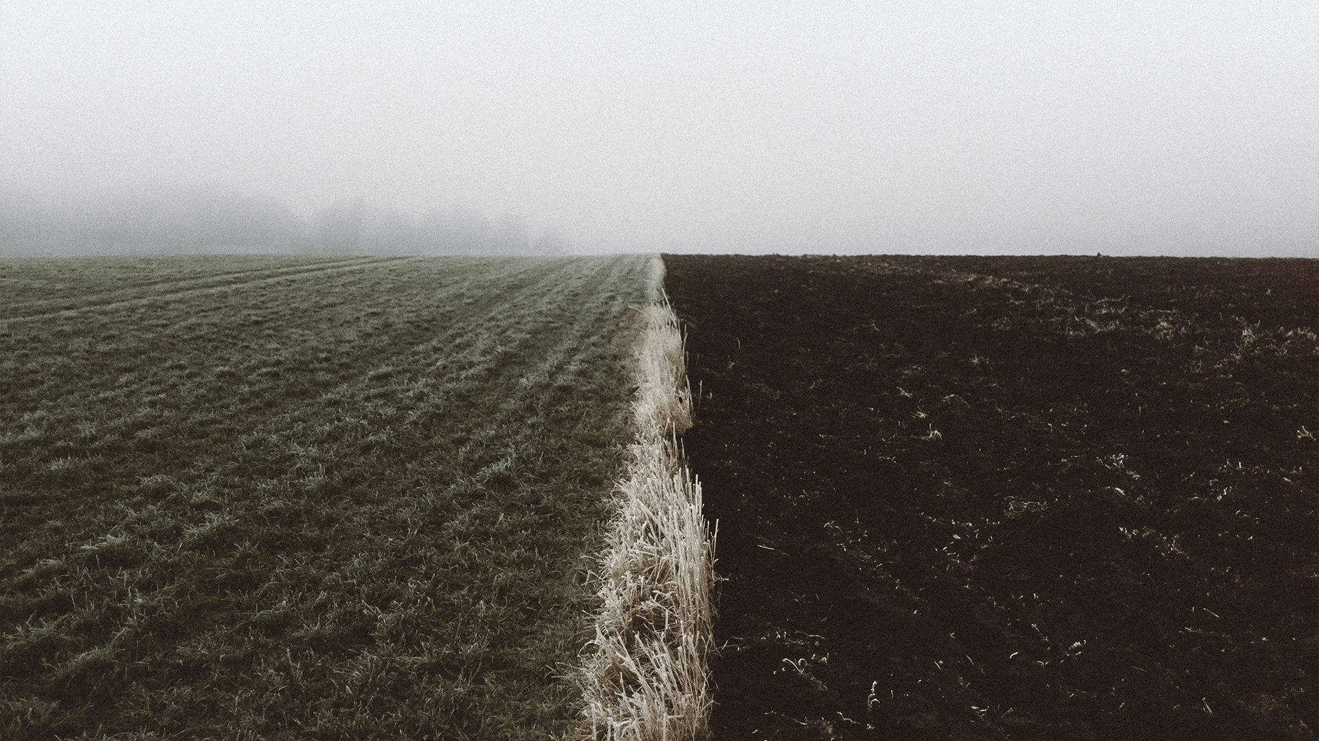 overcoming-cultural-division-for-the-kingdom