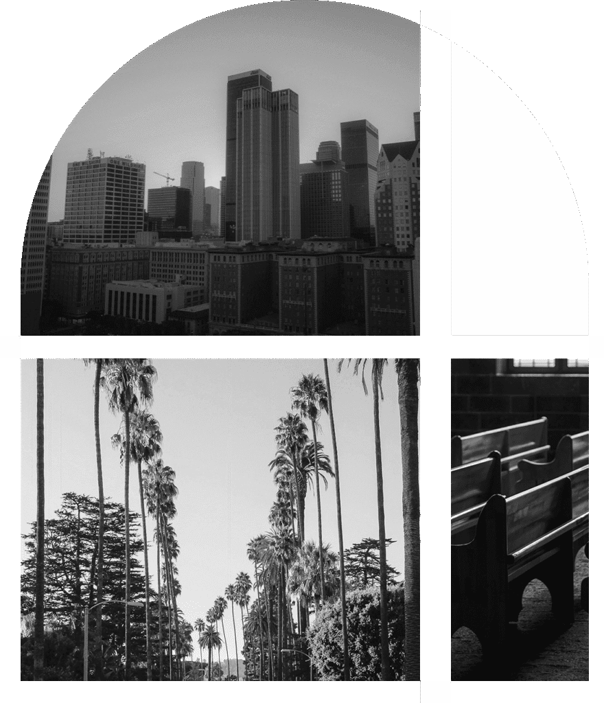 City_Showcase_Window_Design-LA